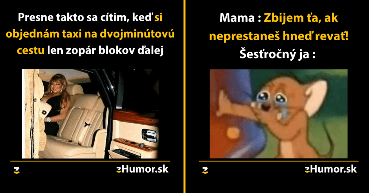 Zopár memečiek, ktoré vznikli, aby ti spríjemnili dnešný deň #877 : Dospievajúce šteňa je niečo ako malé dieťa.