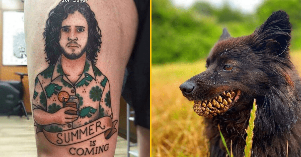 30+ Obrázkov, ktorými dokonale zabiješ čas #162