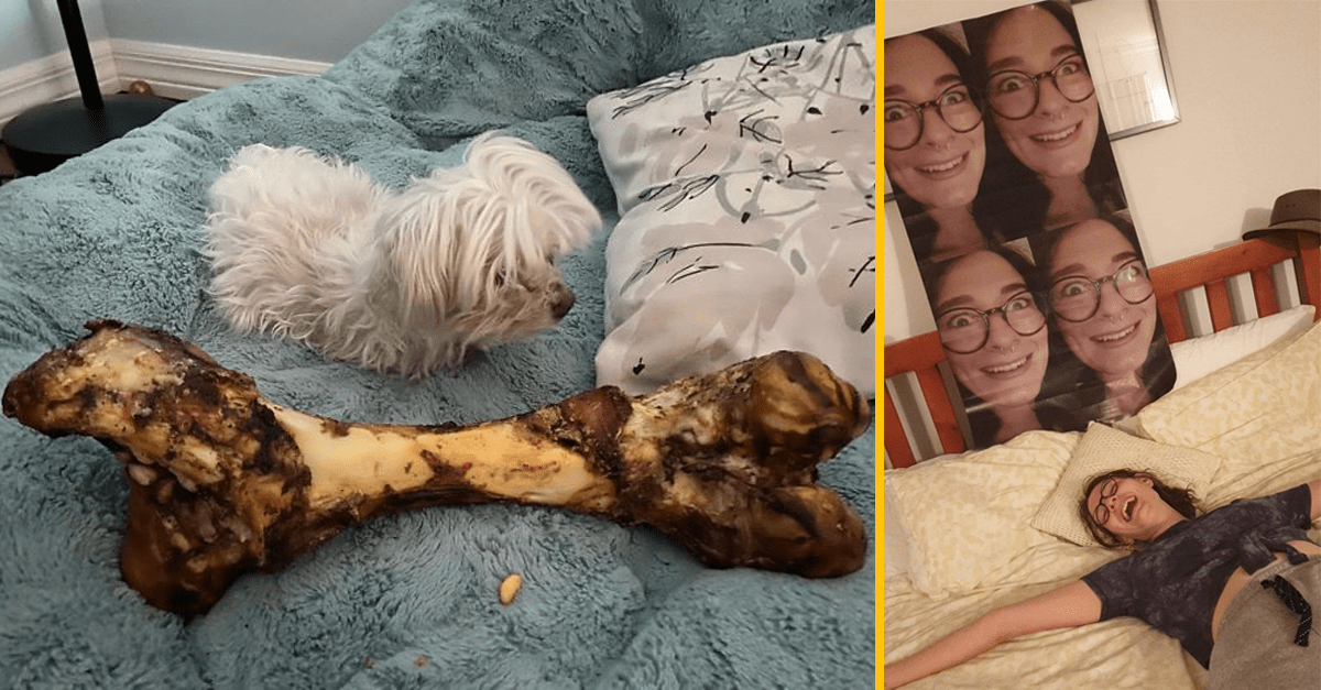 Zopár zábavných prípadov internetových nákupov, ktoré nedopadli úplne podľa predstáv