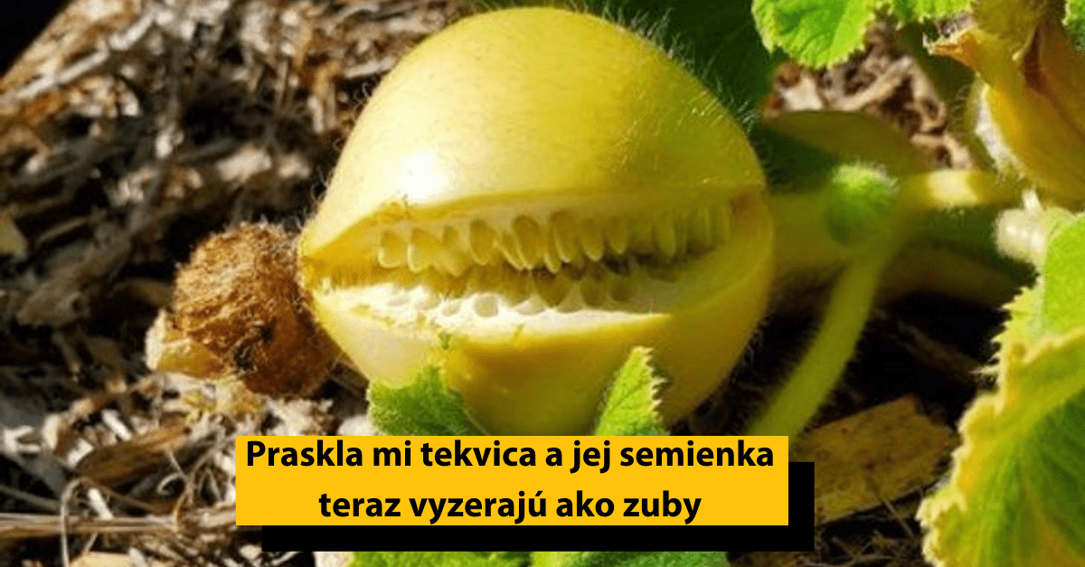 15 ľudí, ktorí si všimli niečo, čo sa len tak nevidí