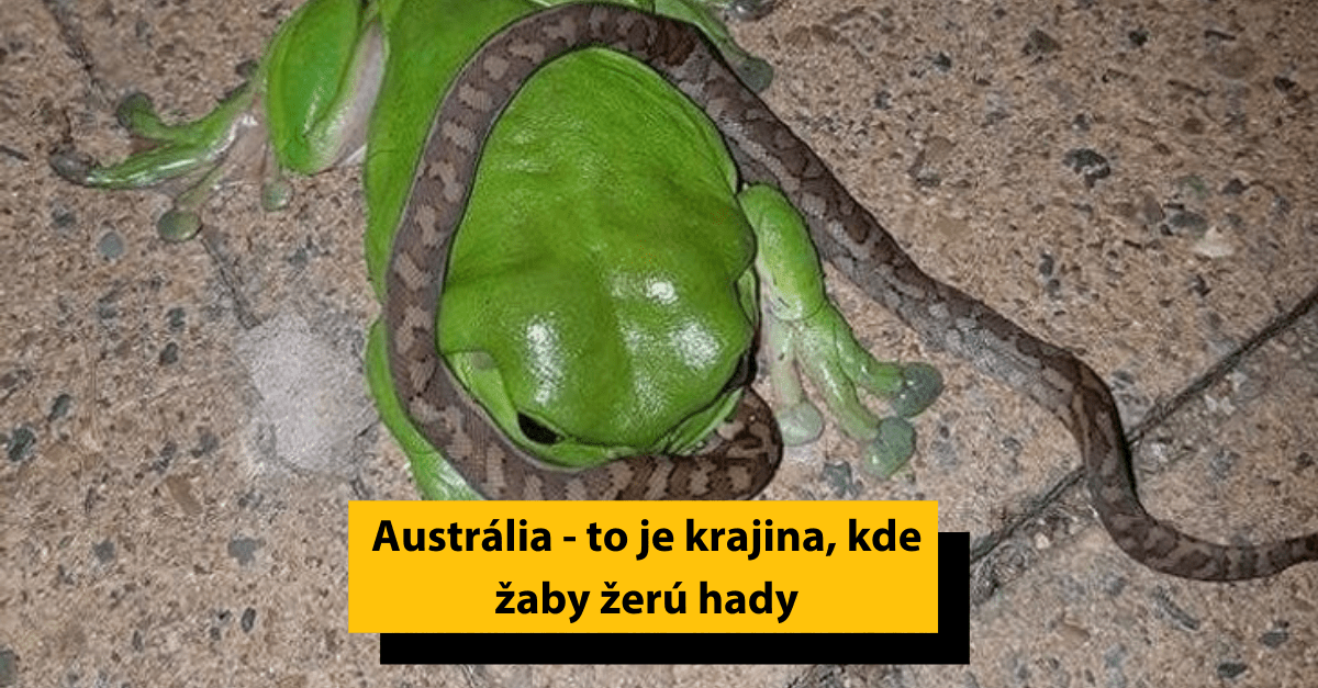 25 obrázkov, ktoré potvrdzujú, že Austrália je krajina akoby z iného sveta
