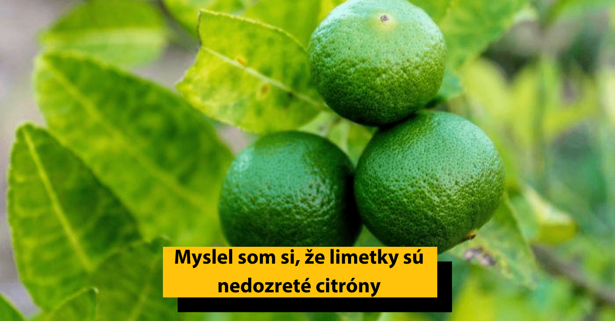 17 príbehov ľudí, ktorí sa dozvedeli podstatné veci až príliš neskoro