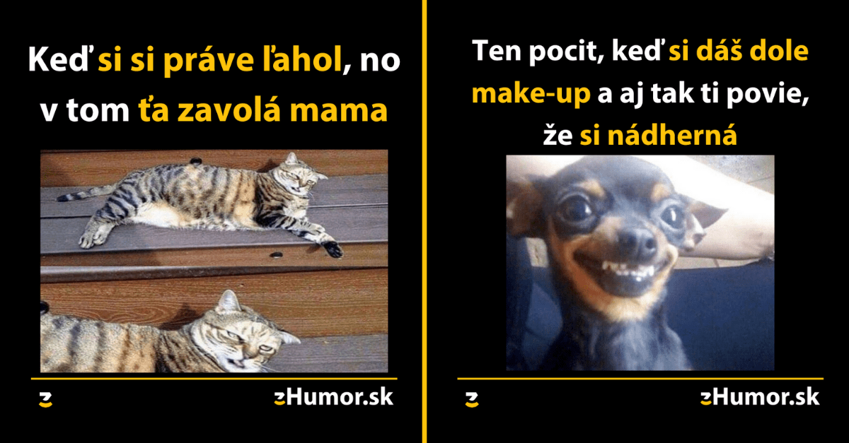 Zopár memečiek, ktoré vznikli, aby ti spríjemnili dnešný deň #886 : Vyriešili sme jeden podstatný problém.