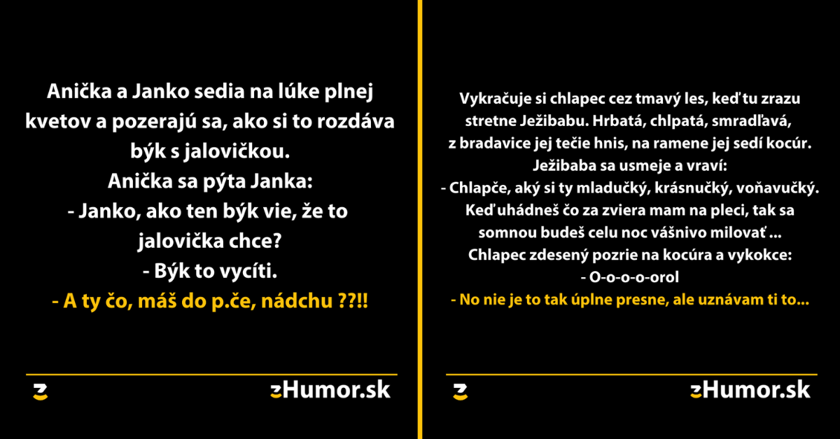 10+ Obrázkov To najlepšie zo skupiny Textové Vtipy #106