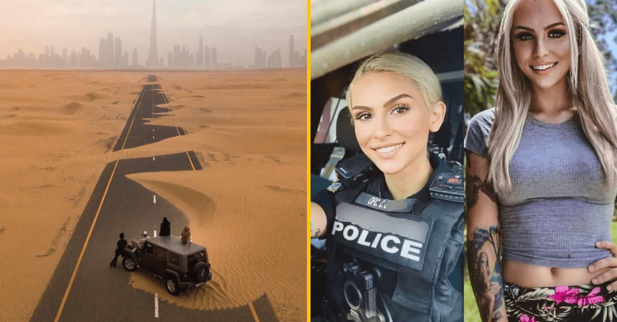 30+ Obrázkov, ktorými dokonale zabiješ čas #168