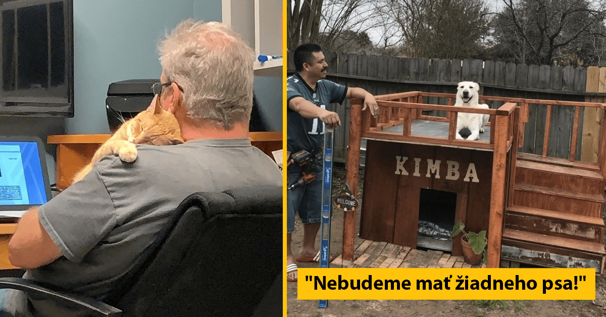 10+ otcov, ktorí doma ani (ne)chceli počuť o domácom zvieratku, no nakoniec si ich zamilovali (zábavné obrázky)
