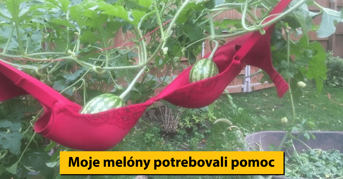 15 ľudí, ktorí svojimi neobyčajnými nápadmi prekvapili všetkých navôkol