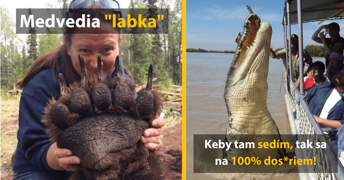 15 obrovských zvieracích kúskov, ktorých veľkosť ste možno mierne podcenili (2. časť)