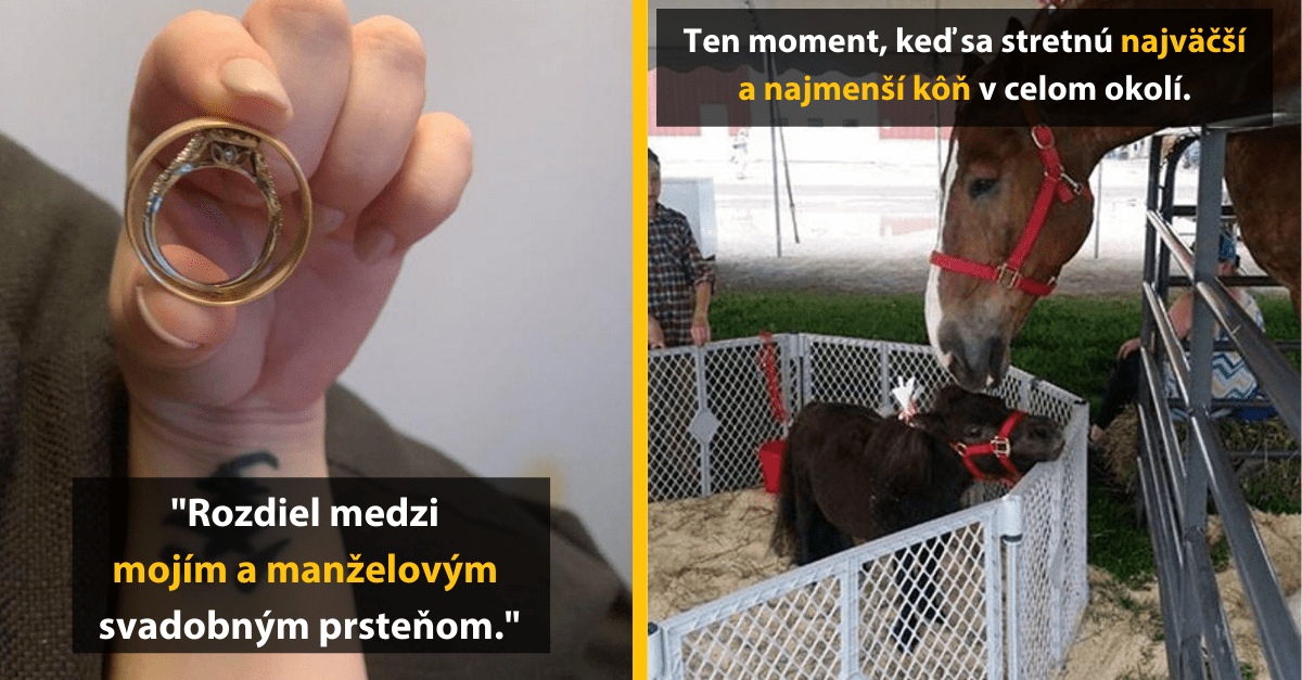 13 neuveriteľných porovnaní, pri ktorých si začneš konečne uvedomovať slovo „veľkosť“