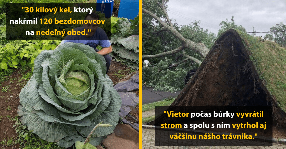 14 fascinujúcich obrázkov, na ktoré sa jednoducho musíš pozrieť z bližšia