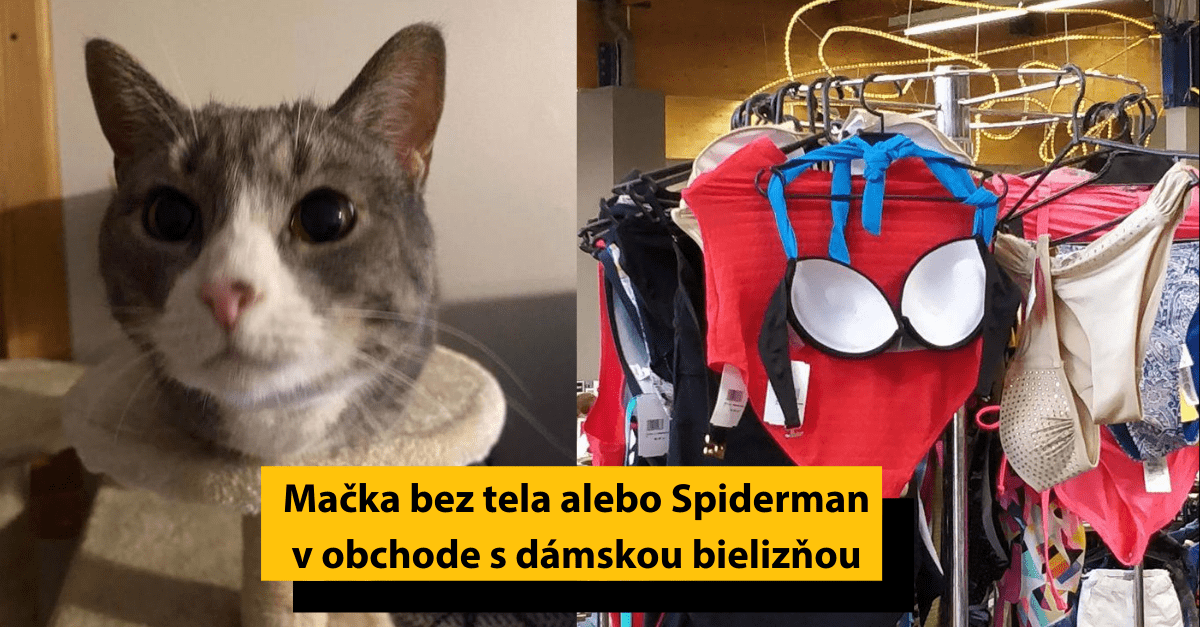 20 fotiek, ktoré boli odfotené z takého uhla, že sa na ne musíš pozrieť viackrát