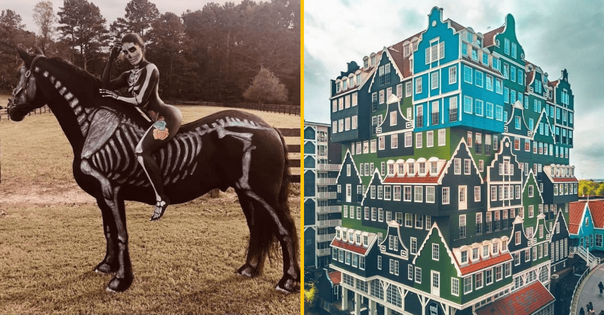 30+ Obrázkov, ktorými dokonale zabiješ čas #173