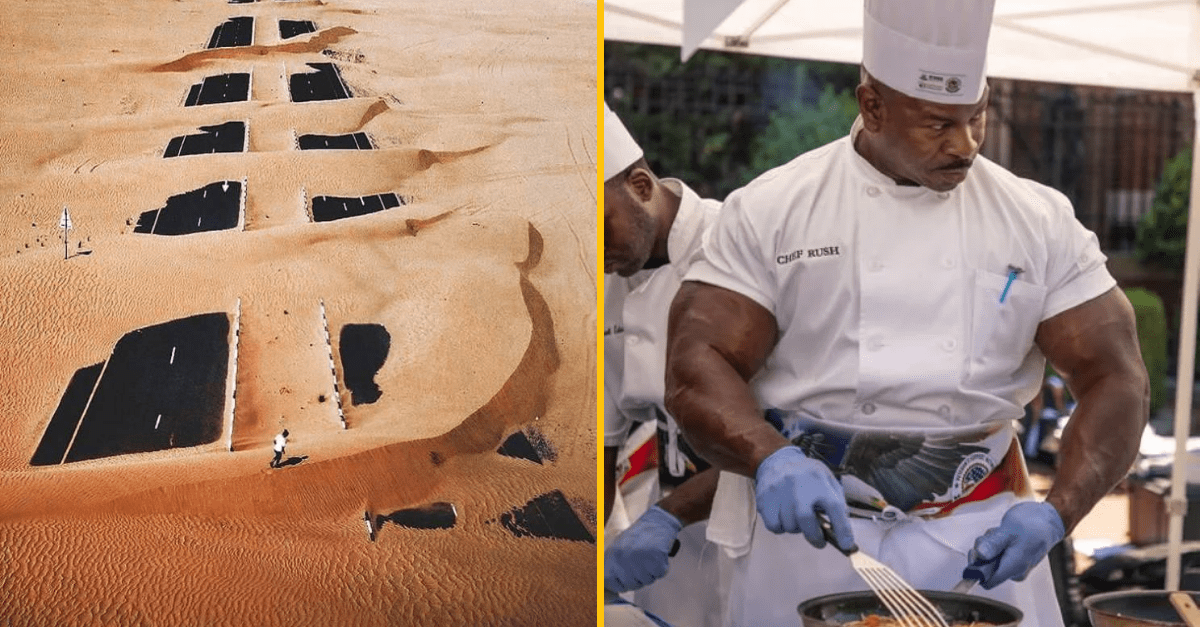 30+ Obrázkov, ktorými dokonale zabiješ čas #169