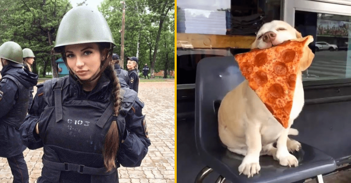 30+ Obrázkov, ktorými dokonale zabiješ čas #171