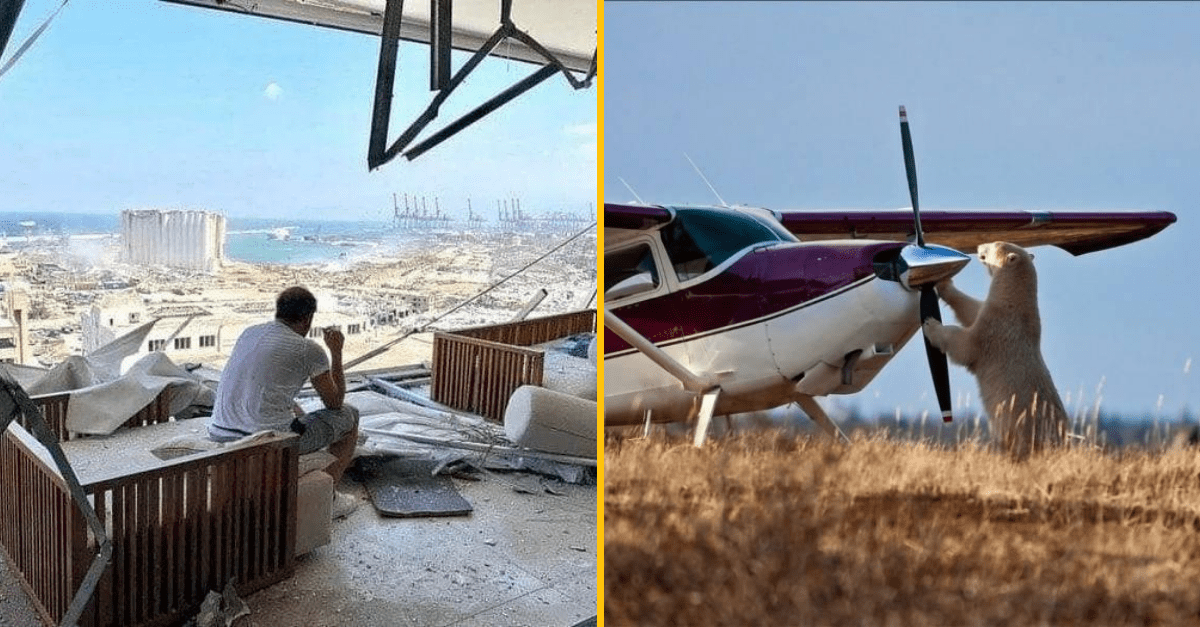 30+ fotografií, ktoré si zaslúžia vašu pozornosť a nestačí sa na ne pozrieť iba raz