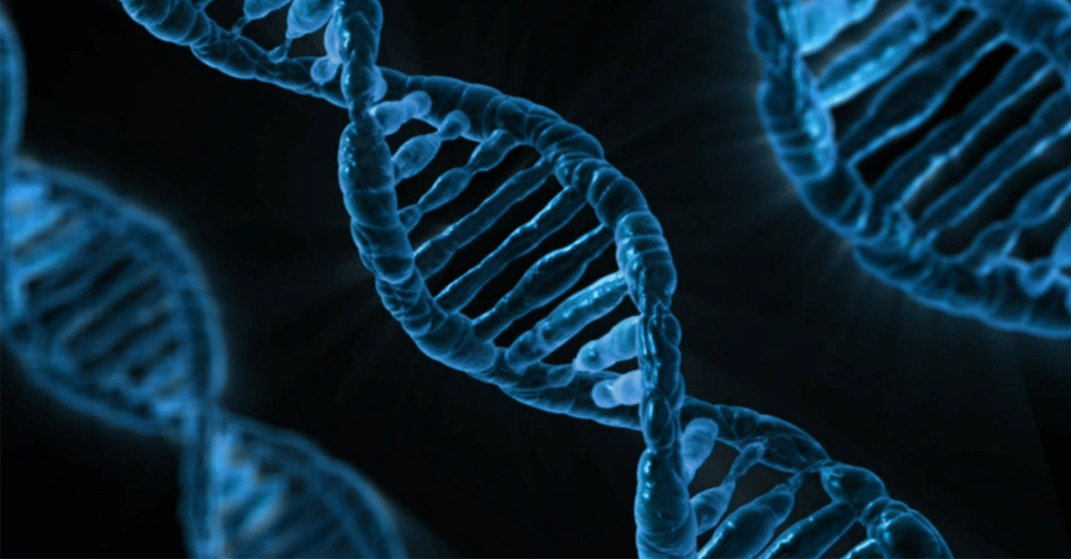 Vedci menili kvôli programu Microsoft Excel názvy ľudských génov. Ten si ich mýlil s dátumom