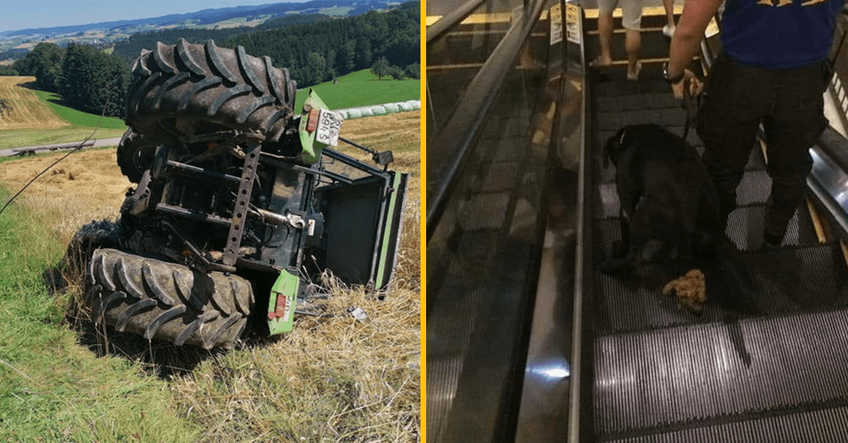 Ľudia, s ktorými sa život skutočne nemaznal (15 zábavných obrázkov)