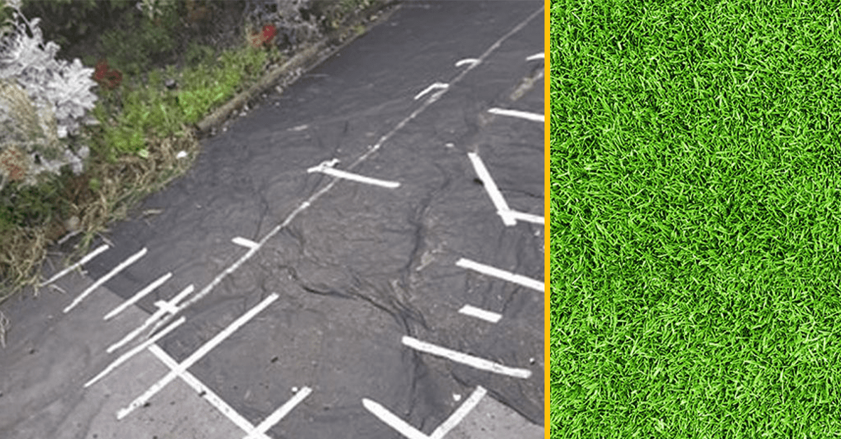 Žena po prebudení zistila, že z jej záhrady cez noc zmizol celý trávnik