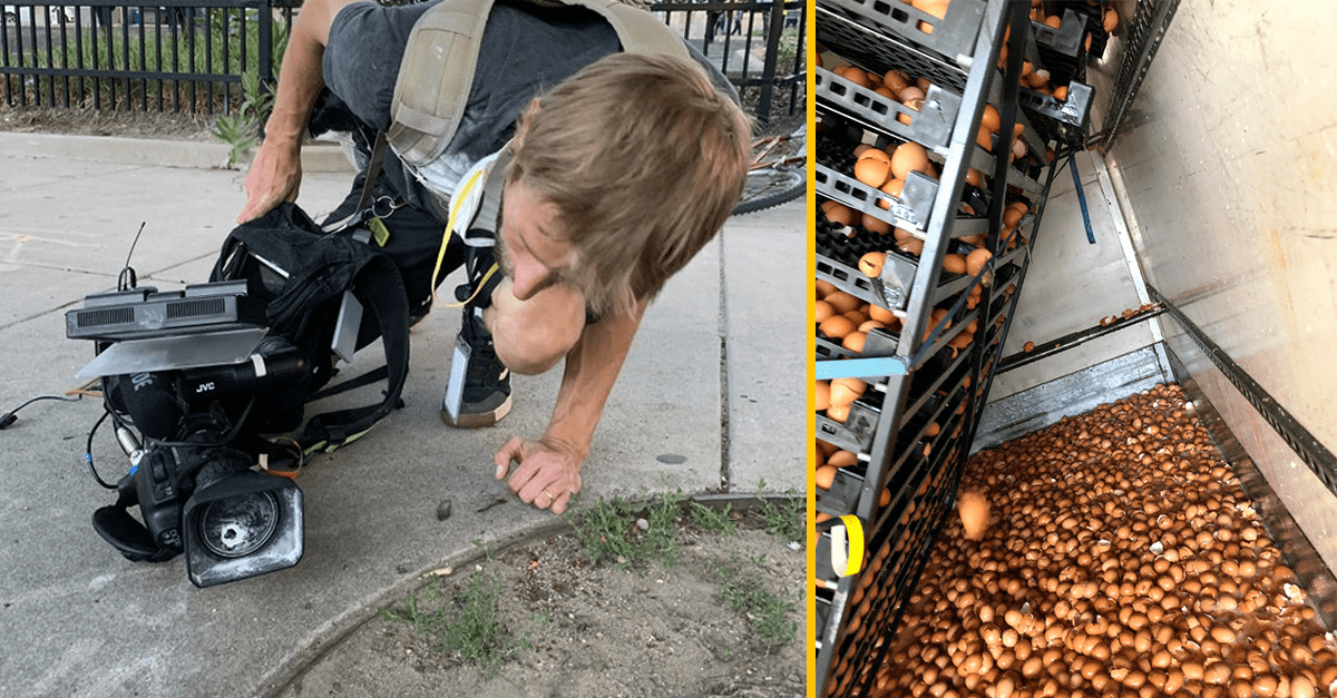 Zopár ľudí, ktorí prežívajú pravdepodobne svoj najhorší deň v živote (zábavné obrázky)