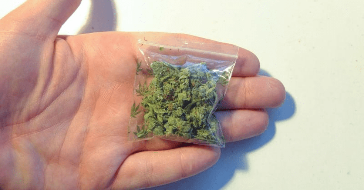 Slovákovi našli 8 gramov marihuany a pol gramu hašišu. Dostal 12 a pol roka za mrežami