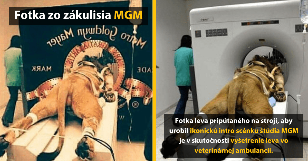 8 známych virálnych fotiek, ktoré sa nakoniec ukázali, že sú úplný fake