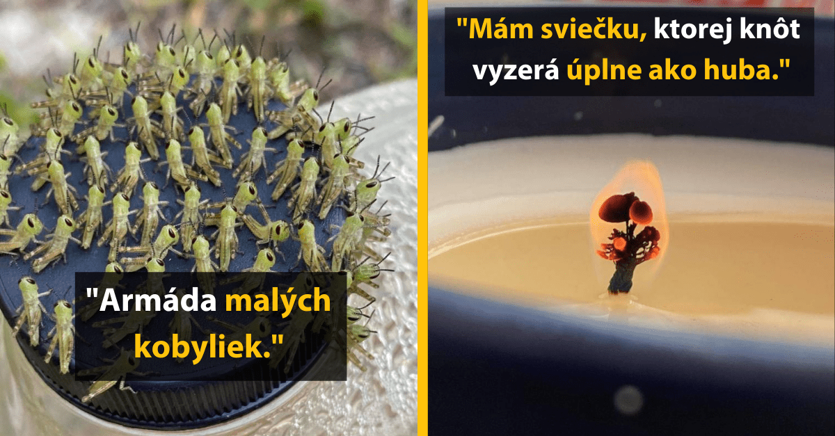 13 fascinujúcich obrázkov, ktoré ti totálne zamotajú hlavu