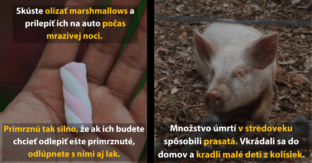 10 faktov ku pivku, ktorými zaručene očaríte celú skupinu