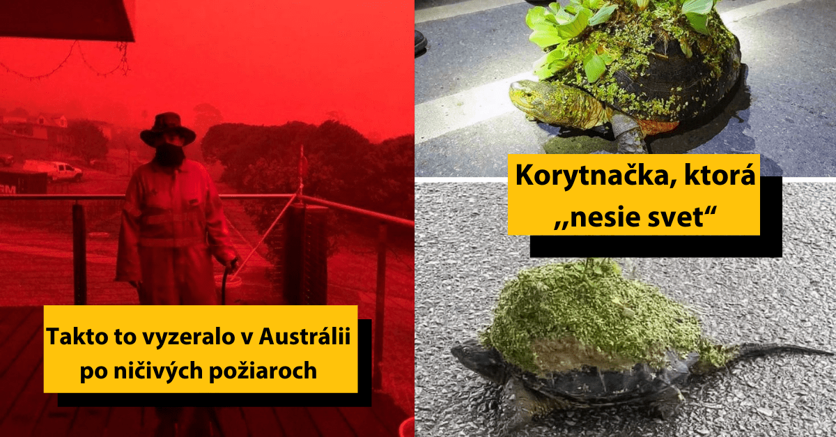 20 obrázkov, ktoré ťa utvrdia v tom, že na svete je stále čo objavovať