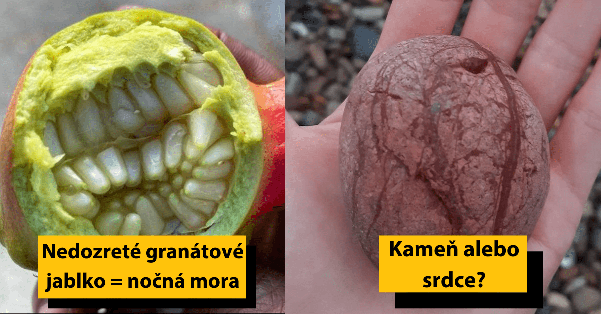 20 vecí, ktoré sa podobajú na niečo úplne iné