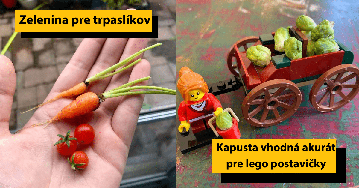 25 obrázkov miniatúrnej zeleniny a ovocia, ktoré sa podarilo vypestovať nešťastným záhradkárom