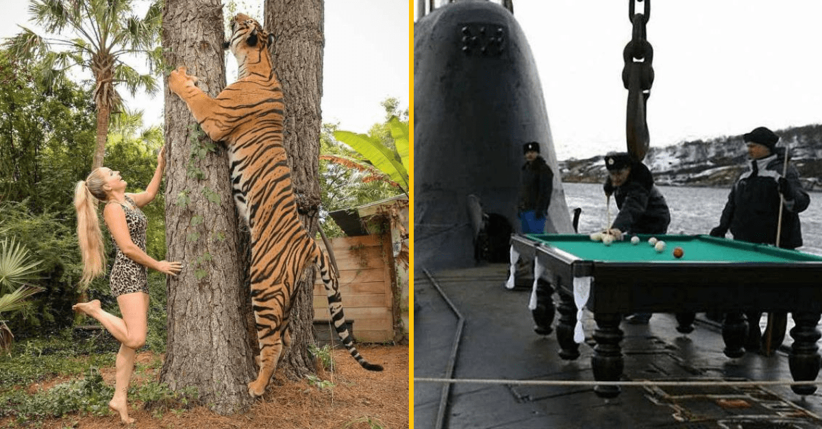 30+ Obrázkov, ktorými dokonale zabiješ čas #177