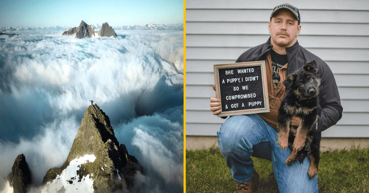 30+ Obrázkov, ktorými dokonale zabiješ čas #175