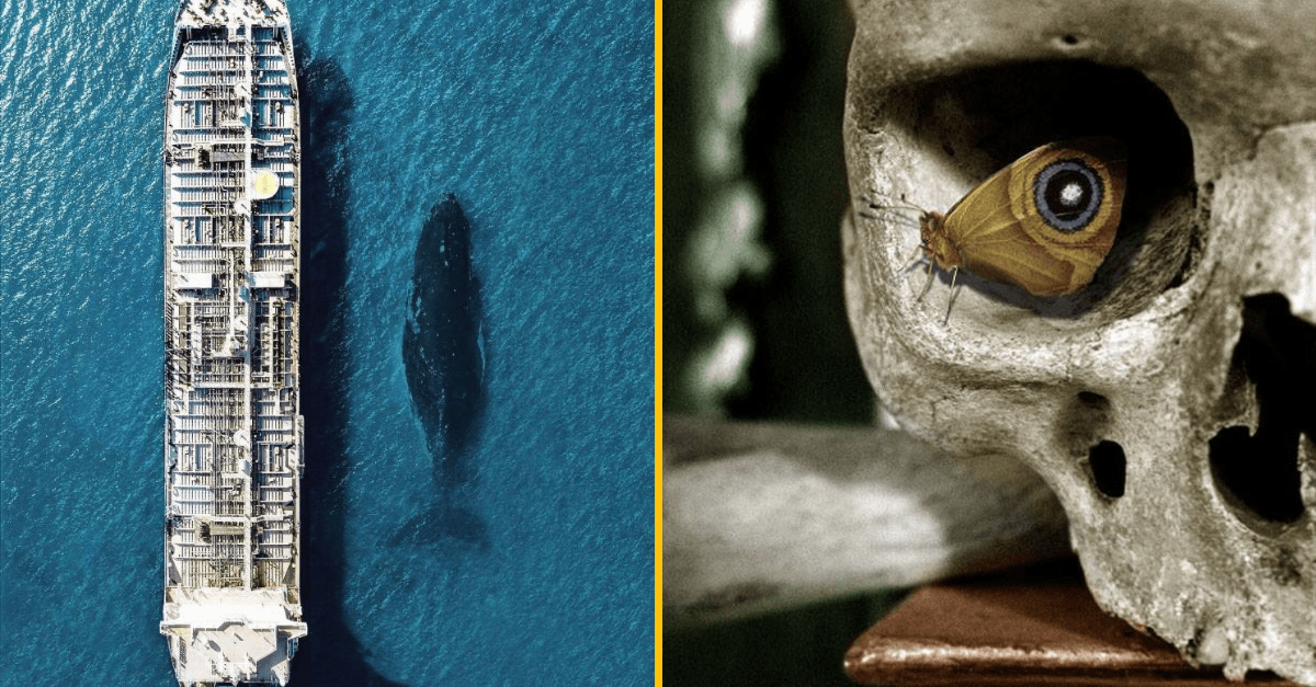 30+ Obrázkov, ktorými dokonale zabiješ čas #174