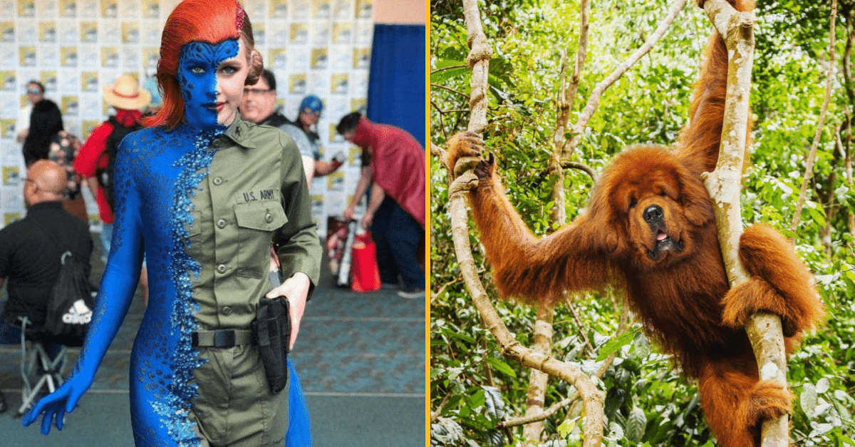 30+ Obrázkov, ktorými dokonale zabiješ čas #182