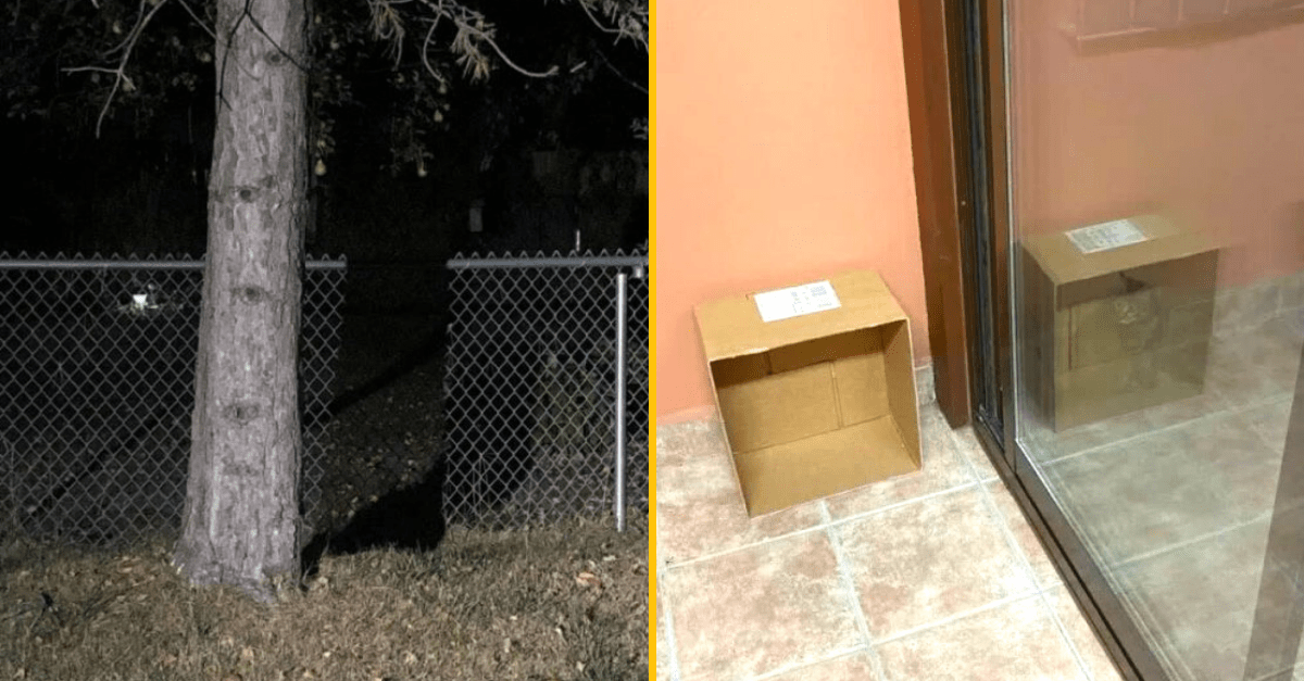 20 fotiek, na ktoré sa pre plný zážitok musíte pozrieť detailnejšie