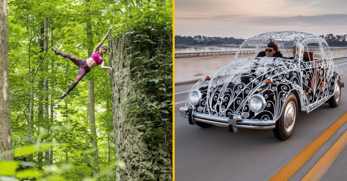 30+ Obrázkov, ktorými dokonale zabiješ čas #178