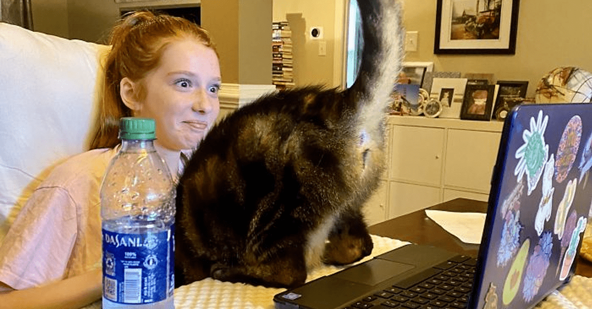 Niekoľko zábavných obrázkov detí, ktoré už zjavne nezvládajú vyučovanie z domu