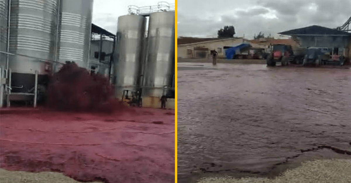 V Španielsku sa po uliciach lialo víno. Vinárom ho totiž omylom vytieklo 50 000 litrov