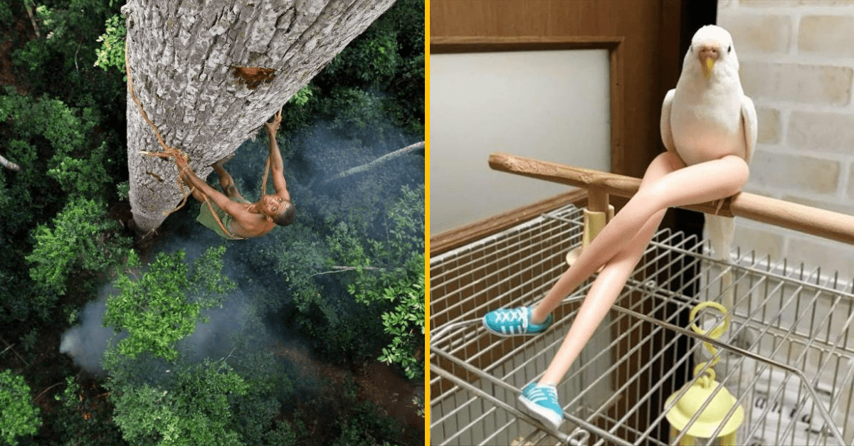 30+ Obrázkov, ktorými dokonale zabiješ čas #179