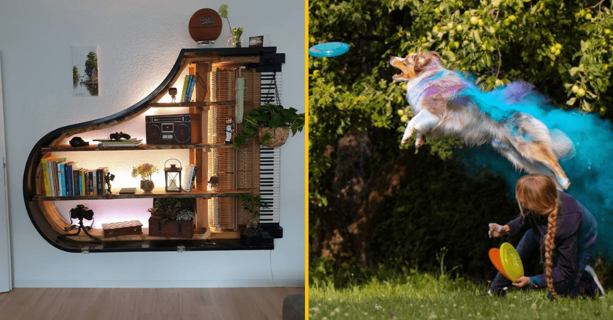 30+ Obrázkov, ktorými dokonale zabiješ čas #185