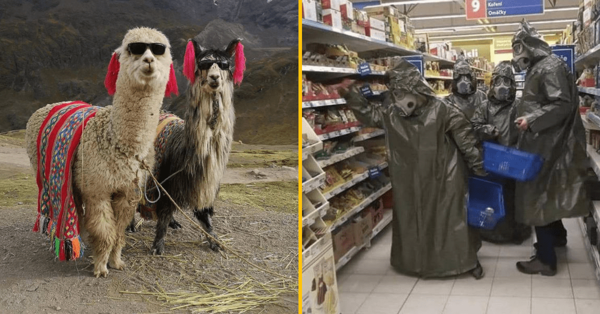 30+ Obrázkov, ktorými dokonale zabiješ čas #183