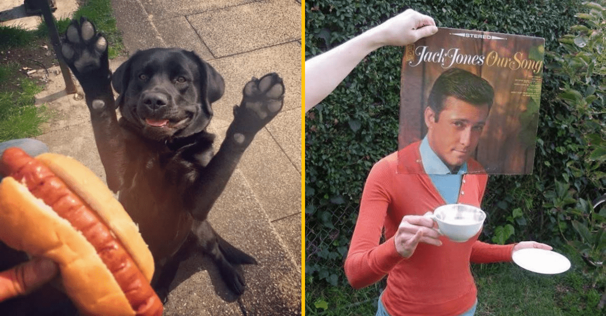 30+ Obrázkov, ktorými dokonale zabiješ čas #189