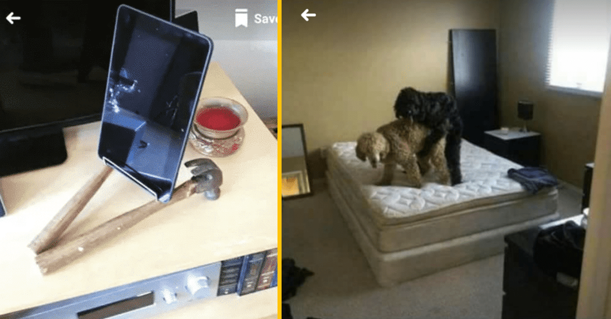 10+ najpodivnejších vecí, aké boli kedy predané cez online bazár