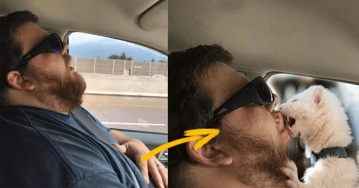 Žena poprosila internet, aby upravili fotku, na ktorej spí jej manžel po ceste na výlet