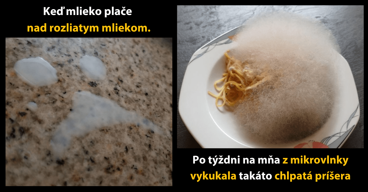 Prazvláštne objavy, ktoré ľudí totálne zaskočili (15 obrázkov)