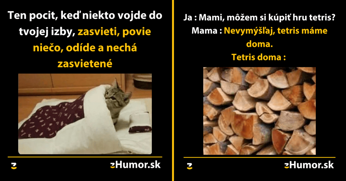 Zopár memečiek, ktoré vznikli, aby ti spríjemnili dnešný deň #937 : Mačka mi nevenuje dosť pozornosti.