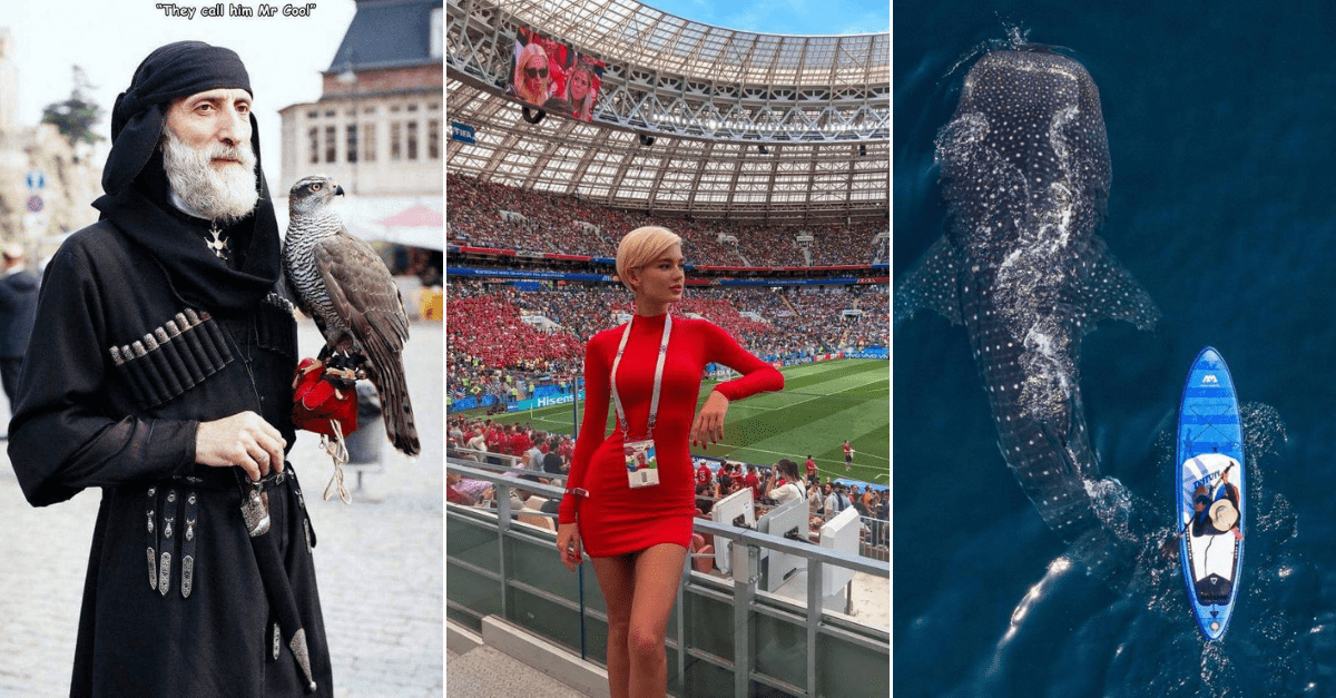 30+ Obrázkov, ktorými dokonale zabiješ čas #196