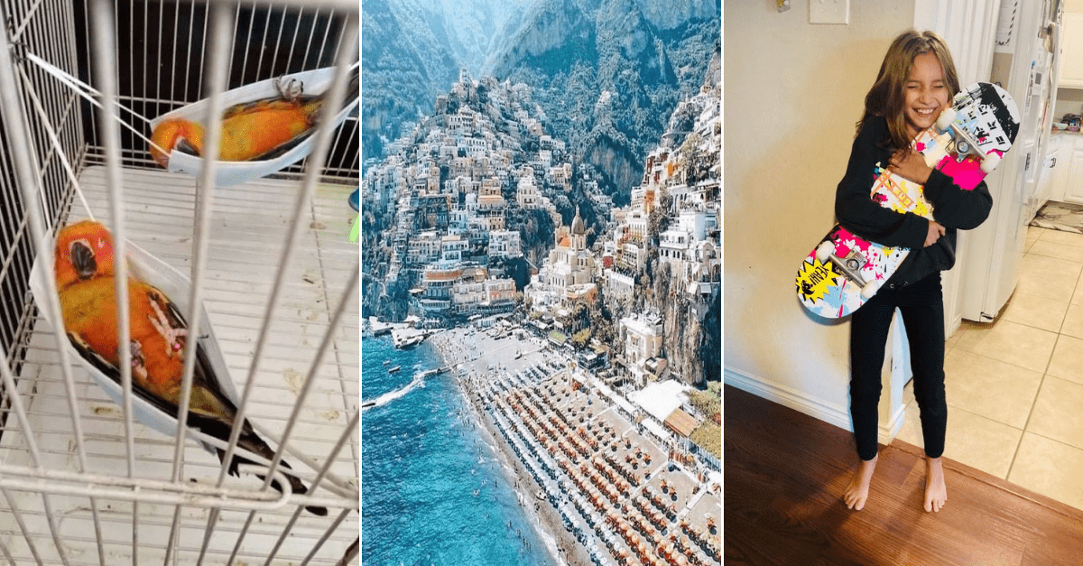 30+ Obrázkov, ktorými dokonale zabiješ čas #206