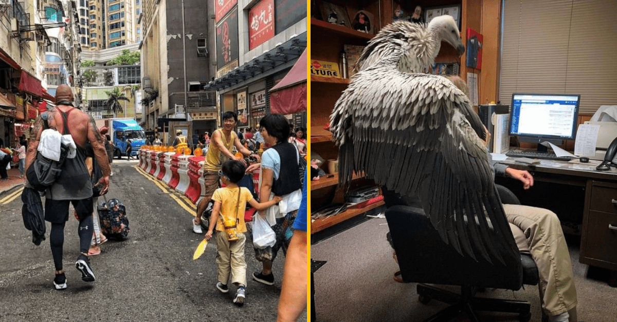 30+ Obrázkov, ktorými dokonale zabiješ čas #207