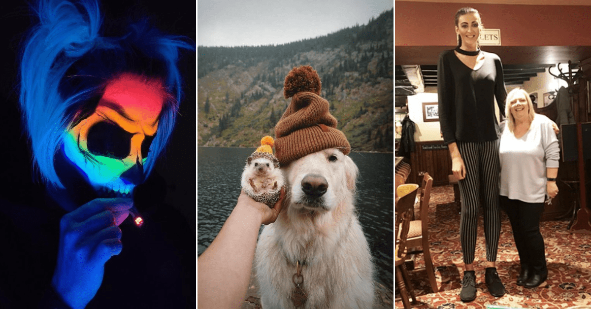 30+ Obrázkov, ktorými dokonale zabiješ čas #205